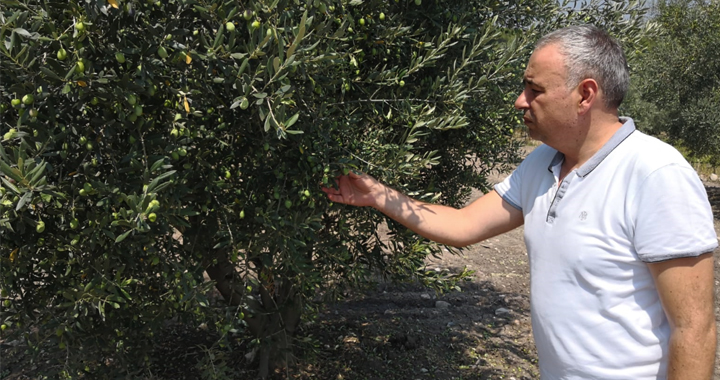 Milletvekili Bakırlıoğlu, “Organik tarım ve iyi tarım desteği kalkıyor mu?”