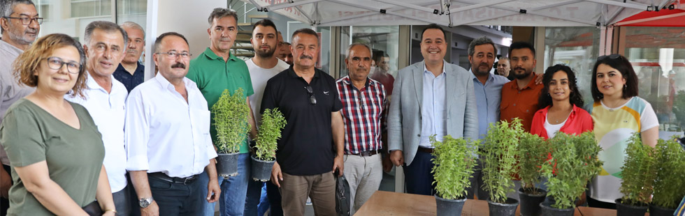 Akhisar Belediyesi kendi yetiştirdiği 5 bin fesleğeni halka dağıttı