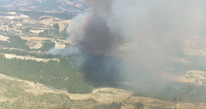 Akhisar-Gördes sınırında orman yangını çıktı