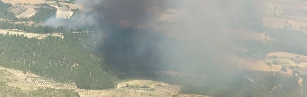 Akhisar-Gördes sınırında orman yangını çıktı