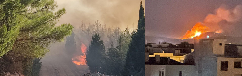 Akhisar’da korkutan orman yangını: ciğerimiz yandı
