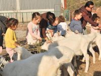 Ahenk Ana Okulu’ndan Keçi Çiftliği gezisi