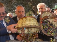 Akhisar’da dünya zeytin günü kutlandı