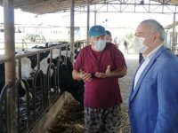 Milletvekili Bakırlıoğlu, Saman yatırım oldu