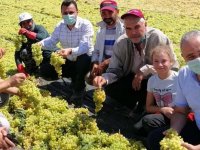 Bakırlıoğlu: İyi tarımda destek bilmecesi!