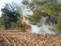 Akhisar’da ormanlık ve zeytinlik alandaki yangına müdahale