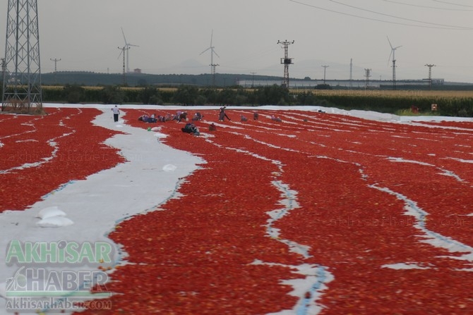 Akhisar'da domates kurutma sergisi 10