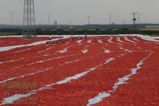 Akhisar'da domates kurutma sergisi 9