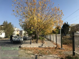 Pastırma sıcaklarında Akhisar'dan sonbahar manzaraları