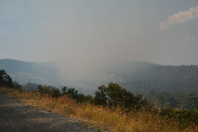 Akhisar’da Orman Yangını