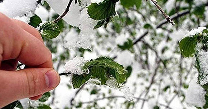 Dikkat! Manisa Valiliği uyardı