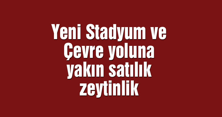 Yeni Stadyum ve Çevre yoluna yakın satılık zeytinlik