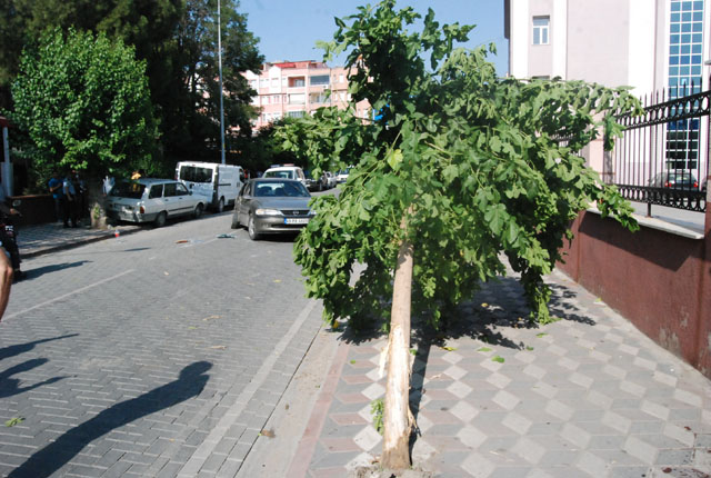 Otomobil, şehrin merkezinde dehşet saçtı