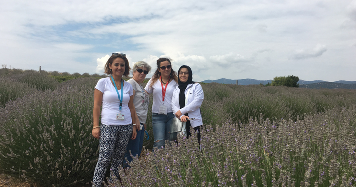 Aybek Turizm, Lavanta Bahçelerini gezdi