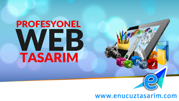 Profesyonel Web Tasarım Yaptırmak