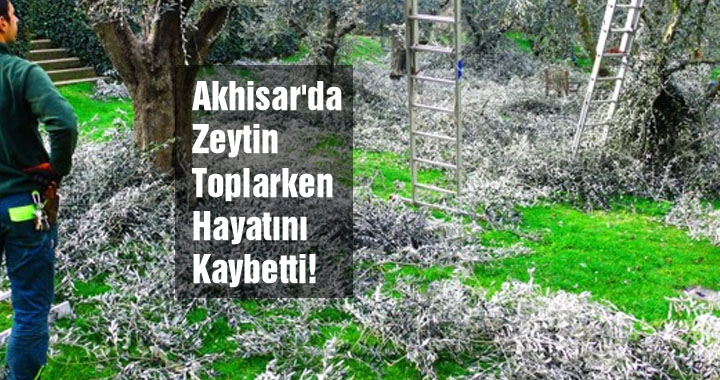 Akhisar'da zeytin ağacından düşen çiftçi hayatını kaybetti