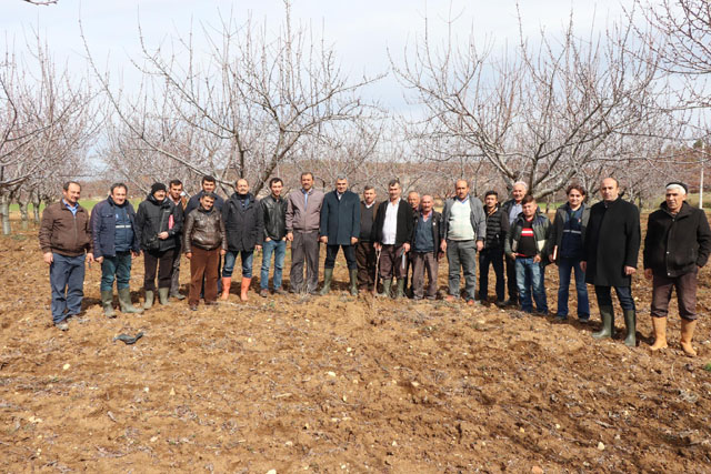 İlçe Tarım budama eğitimlerine devam ediyor