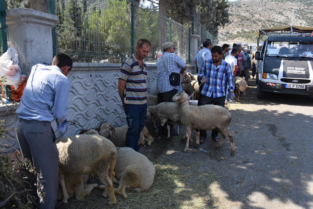 Kurban Bayramı öncesi arefe bereketi