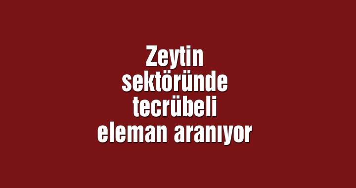 Zeytin sektöründe tecrübeli eleman aranıyor