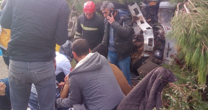 Akhisar'da kamyonet çamlığa uçtu 3 yaralı