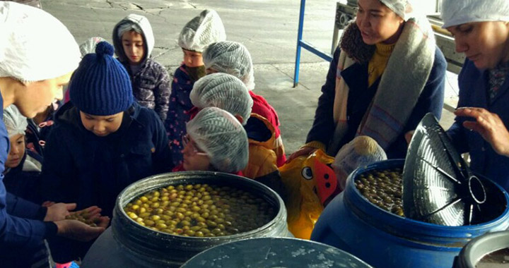 Ahenk Anaokulu öğrencileri, zeytin fabrikası gezisinde