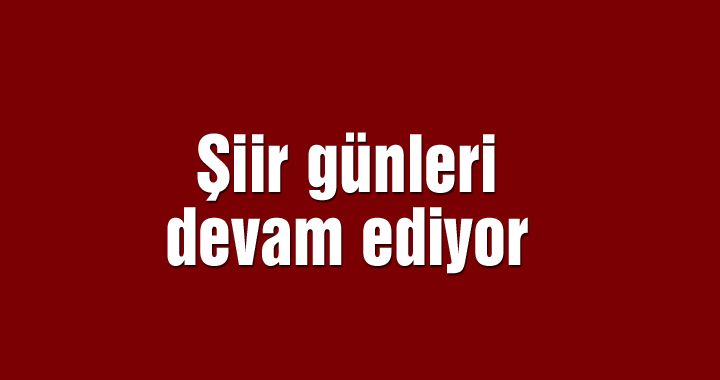 Şiir günleri devam ediyor