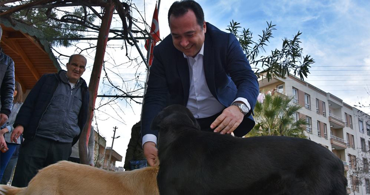 Başkan Dutlulu, sokak hayvanları için düğmeye bastı