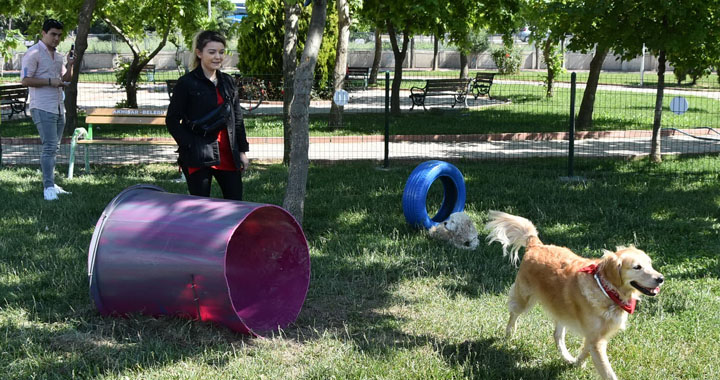 Akhisar'da bir ilk; köpek parkı