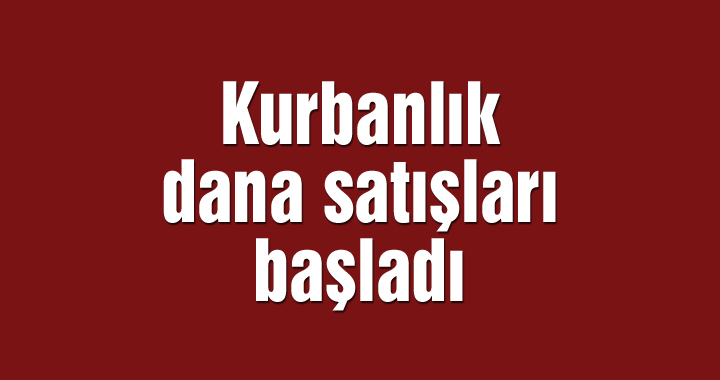 Kurbanlık dana satışları başladı