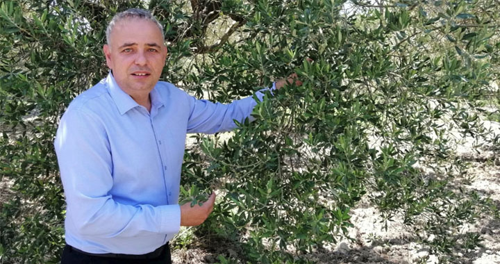 Bakırlıoğlu; Zeytin üreticisinin kredi borçları ertelensin!