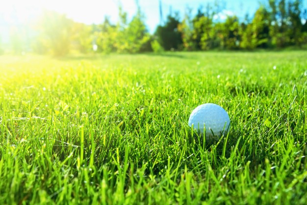Golf Saha Çimi Seçerken Nelere Dikkat Etmelisiniz?