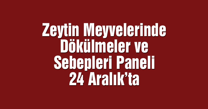 Zeytin Meyvelerinde Dökülmeler ve Sebepleri paneli 24 Aralık'ta