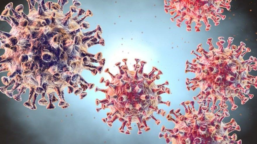 Türkiye koronavirüs hangi ilde çıktı koronavirüs olan hasta kim?