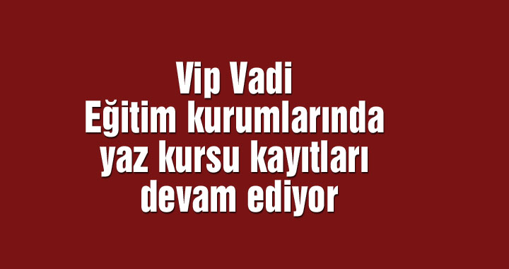 Vip Vadi Eğitim kurumlarında yaz kursu kayıtları devam ediyor