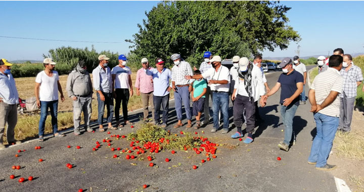 Bakırlıoğlu; çiftçinin emeğini çalıyorlar!