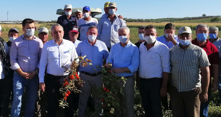 Bakırlıoğlu: Türk Şeker Manisalı çiftçinin de domatesini alsın!