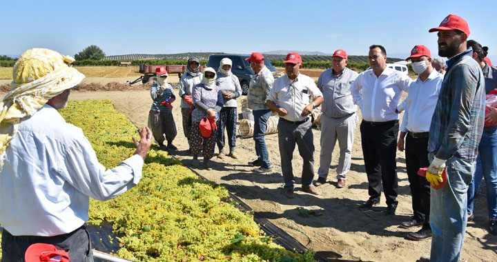 Başkan Besim Dutlulu, üzüm üreticileri ile buluştu