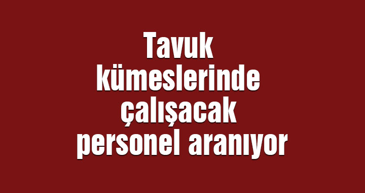 Tavuk kümeslerinde çalışacak personel aranıyor