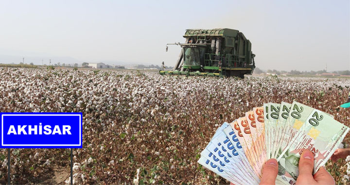 Akhisarlı pamuk üreticilerine 10 Milyon Lira destek