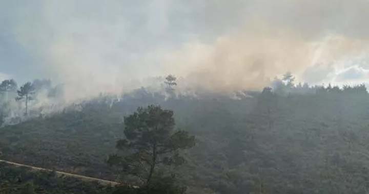 Akhisar’da orman yangını!
