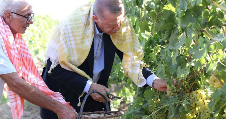 Cumhurbaşkanı Erdoğan Fındıktan sonra Manisa’da üzüm fiyatını açıkladı