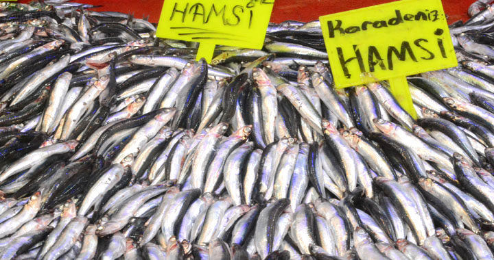 Güral, temiz ve günlük balık Akhisar pazar yerlerindedir