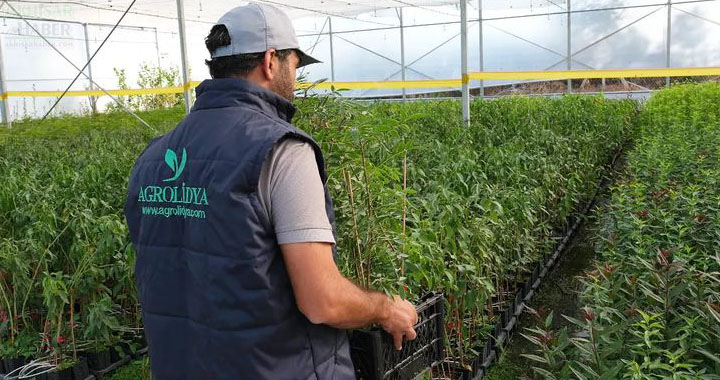Akhisar’ın Markası Agrolidya, tarım sektöründe yükselişini sürdürüyor