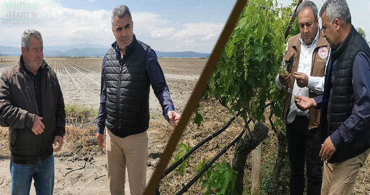 İlçe Tarım Müdürlüğü, zarar gören arazilerde inceleme yaptı