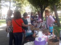 Kadın el emeği pazarı, park içinde kuruluyor