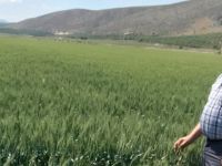 Mehmet Çandar, çiftçiler gününü kutladı