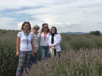 Aybek Turizm, Lavanta Bahçelerini gezdi