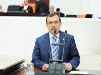 Milletvekili Aydemir, Zeytin Dalı Harekatı ile ilgili açıklamada bulundu