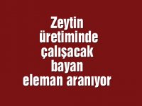 Zeytin üretiminde çalışacak bayan eleman aranıyor