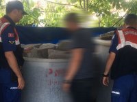 Zeytin hırsızları yakalandı, 5 kişi tutuklandı